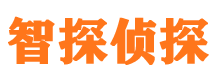 抚松外遇调查取证